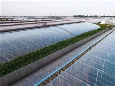 Classification and selection method of plastic greenhouse film