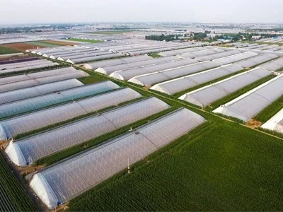 Correct construction of greenhouse agricultural film