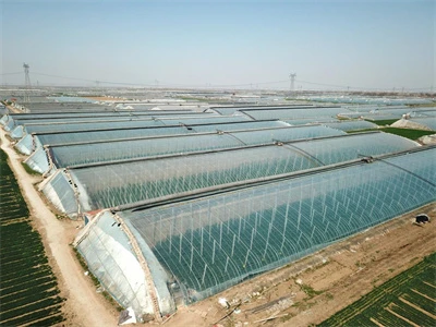 The variety of modern greenhouse agricultural film is diversified