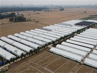 Is the use of greenhouse agricultural film with different colors the same eff...