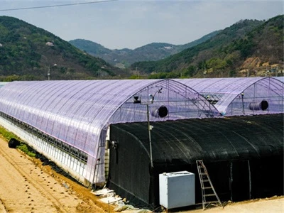How to repair greenhouse film?
