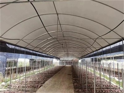 The key factor in the selection of agricultural film is the ductility of agri...