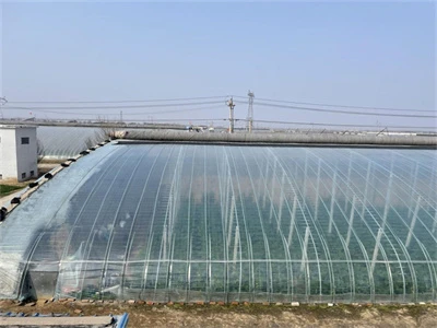 How long can the effect of greenhouse agricultural film last
