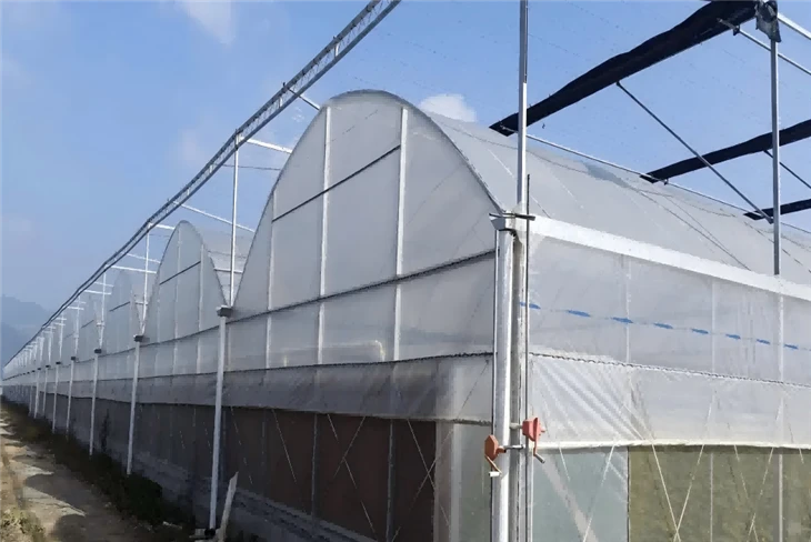 EVA Agricultural Film Series Products