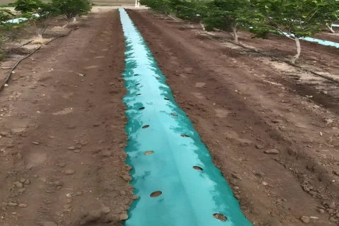 Green Plastic Mulch