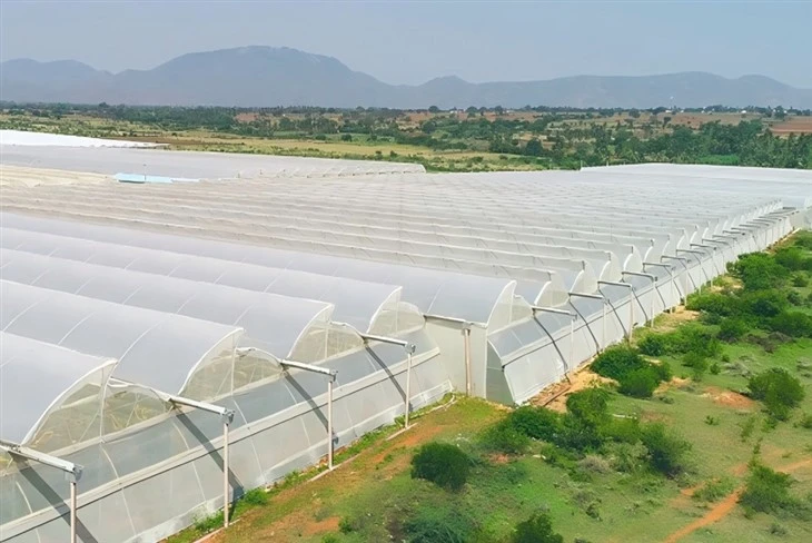 Longevity Agricultural Film
