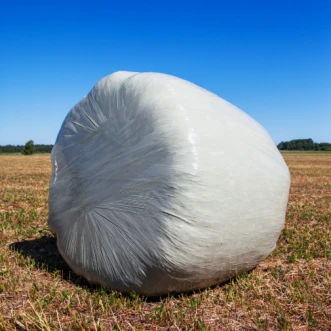 Shouzheng Knowledge Class: Interpret The Silage Film
