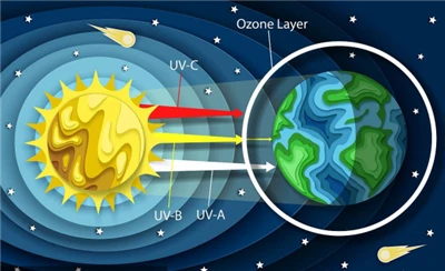 Shouzheng Knowledge Class: To Interpret The Influence Of Ultraviolet Light On...