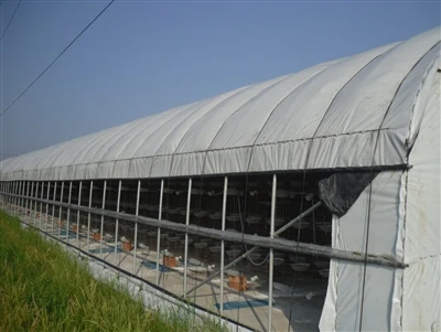 Shouzheng Knowledge Class: Agricultural Film In Animal Husbandry