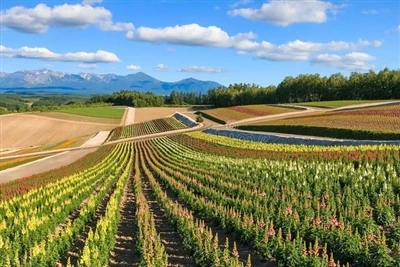 Shouzheng Knowledge Class: Agricultural Film In Japan