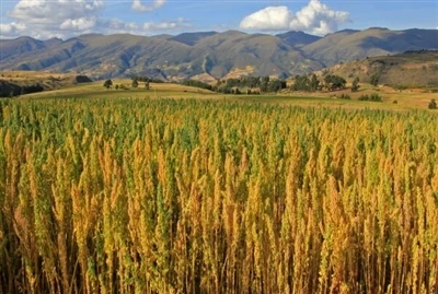 Shouzheng Knowledge Class: Agricultural Film In South America