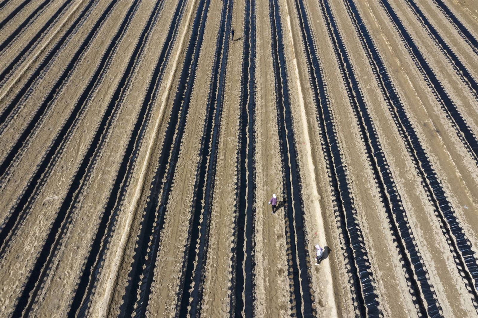 202410271454511 202410271454511