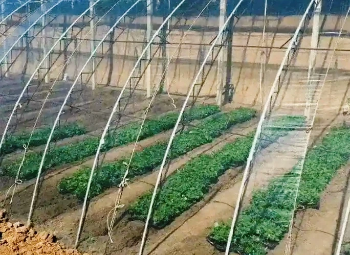 u38260874483461016869fm253fmtautoapp138fJPEG1