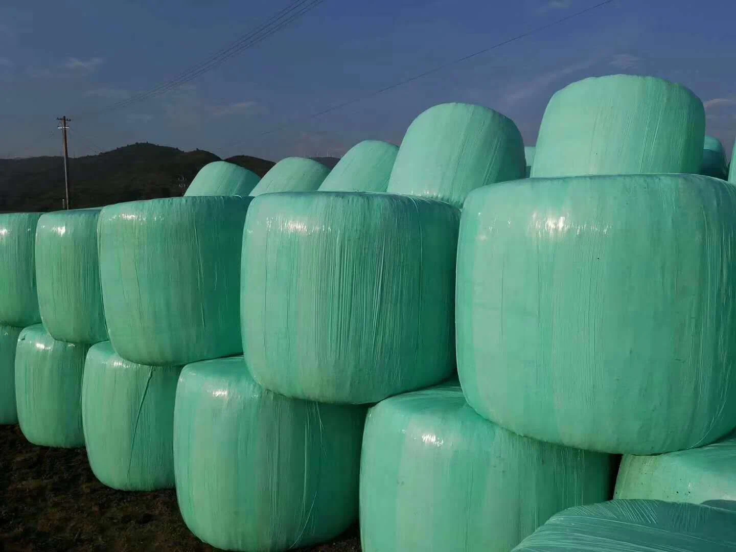 20240630105855f2c0a