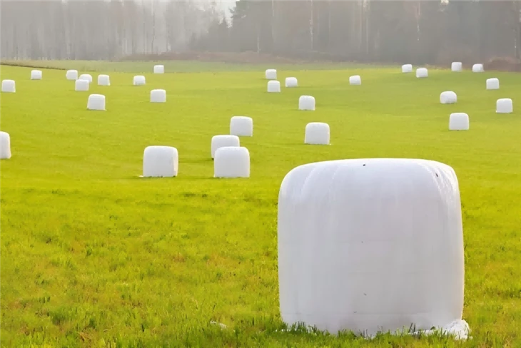Silage Film